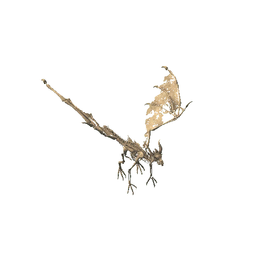 Dragon4_basemesh2 Variant